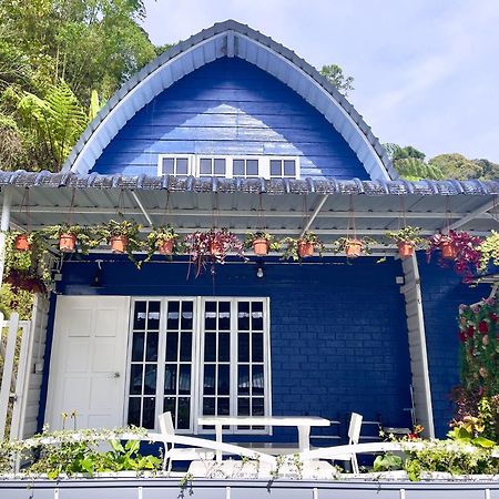 Blue Cabins By Pfordten Cottage مرتفعات كاميرون المظهر الخارجي الصورة