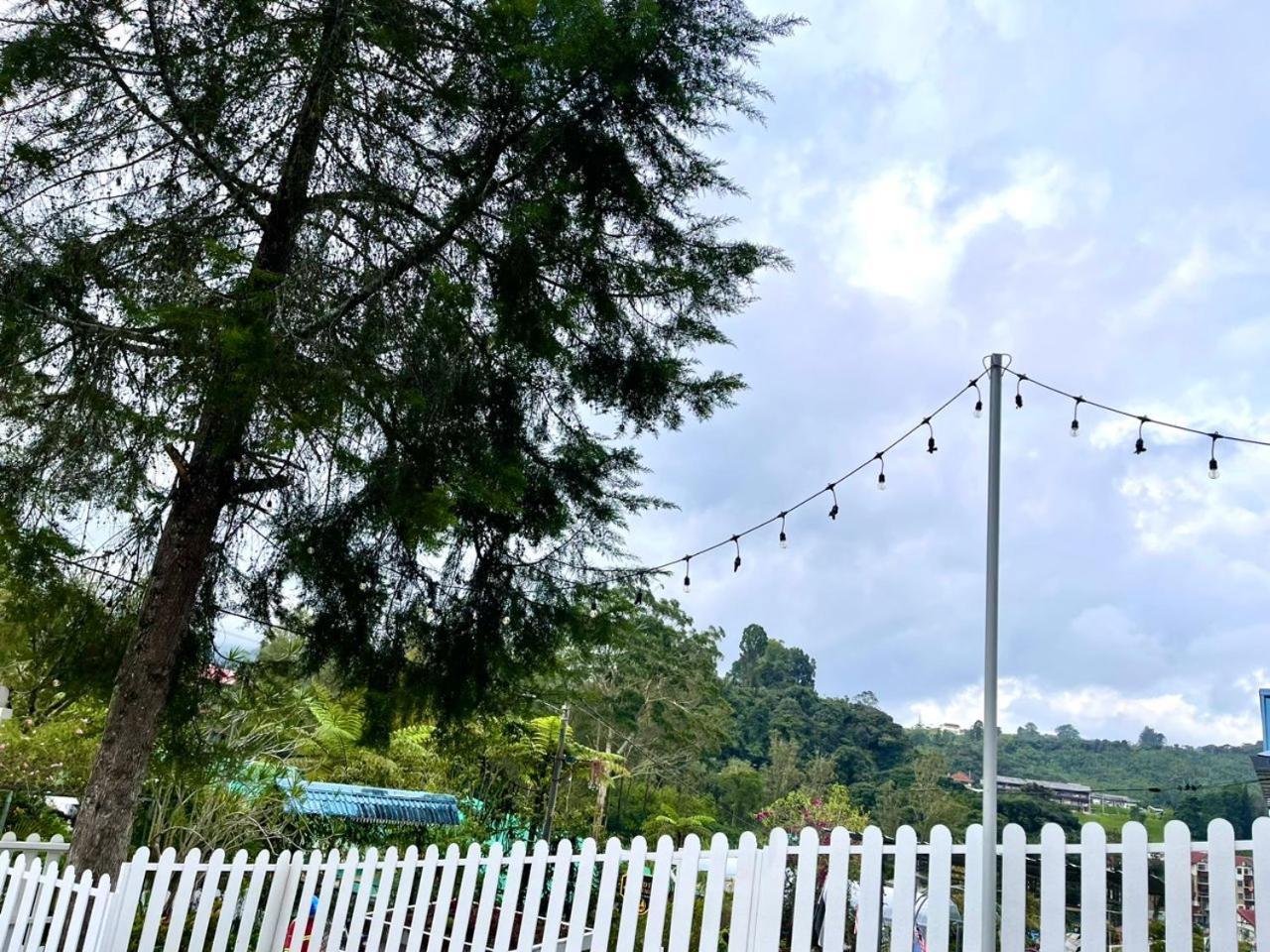 Blue Cabins By Pfordten Cottage مرتفعات كاميرون المظهر الخارجي الصورة