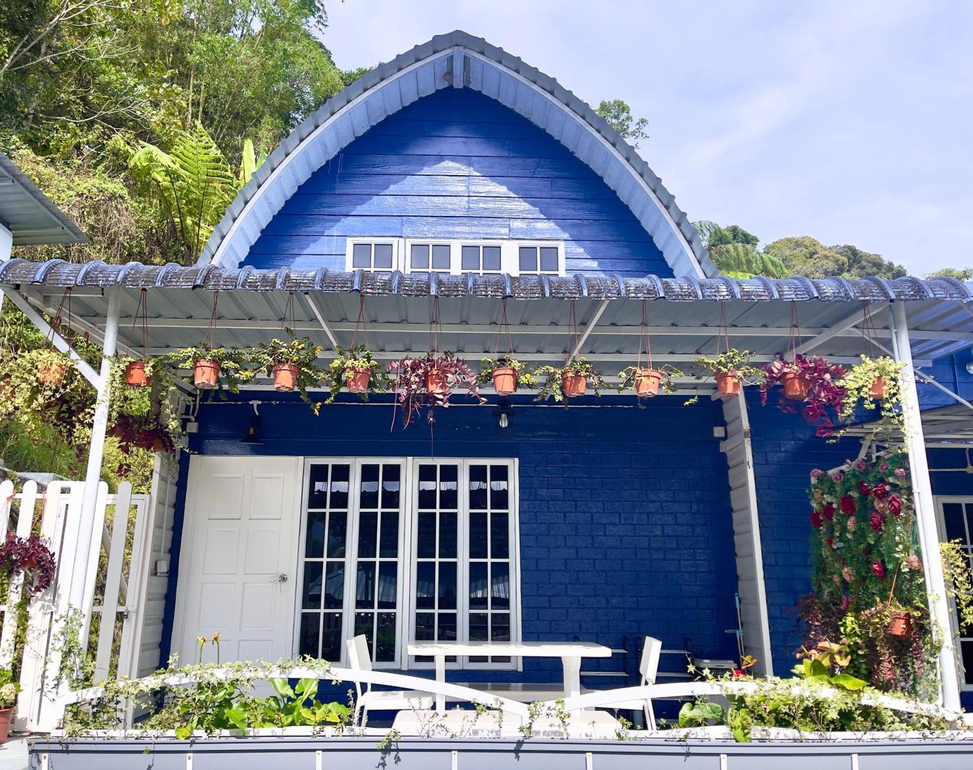 Blue Cabins By Pfordten Cottage مرتفعات كاميرون المظهر الخارجي الصورة