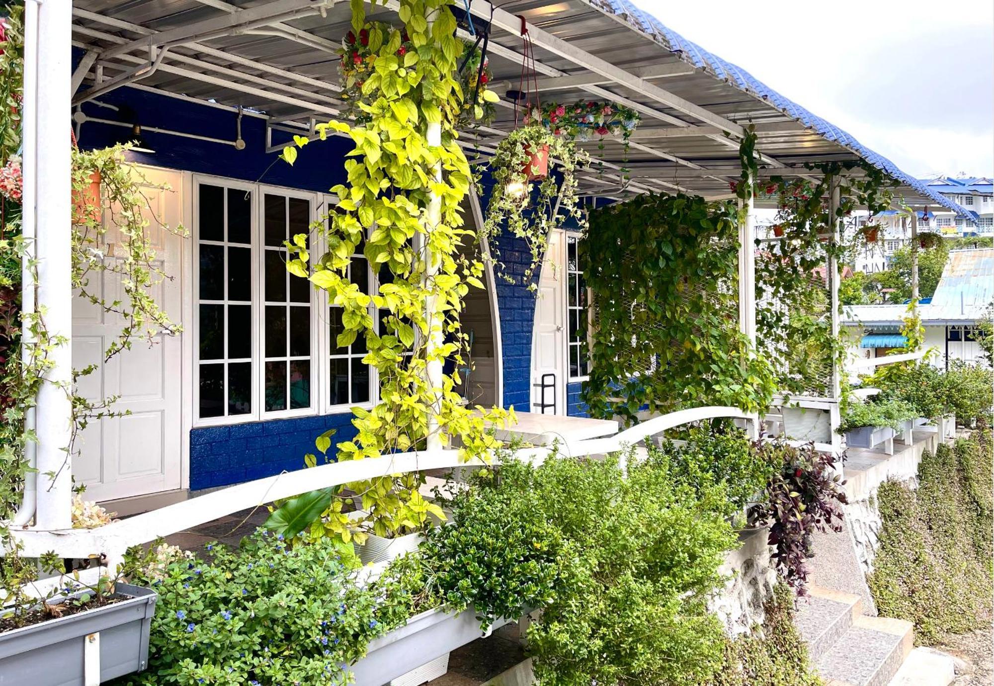 Blue Cabins By Pfordten Cottage مرتفعات كاميرون المظهر الخارجي الصورة